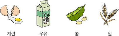 계란 우유 콩 밀