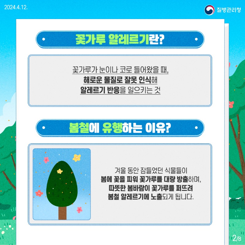 240411-알자내몸-꽃가루-알레르기2.jpg