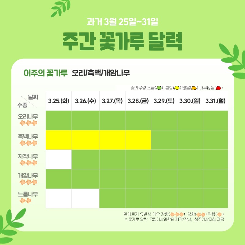 주간 꽃가루달력 카드뉴스(3.25~3.31)_3.jpg