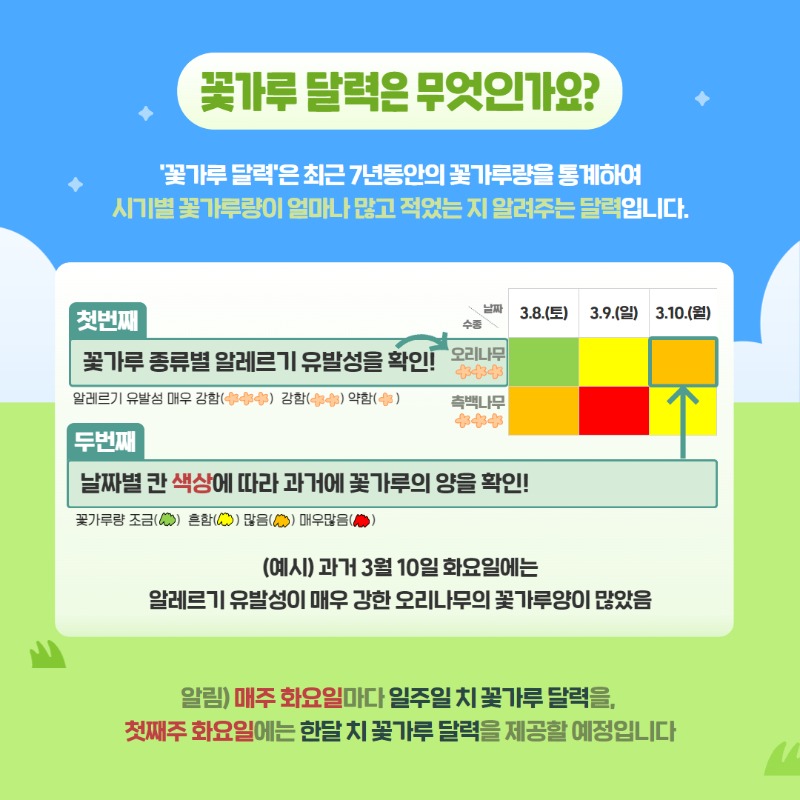 꽃가루 달력 2.jpg