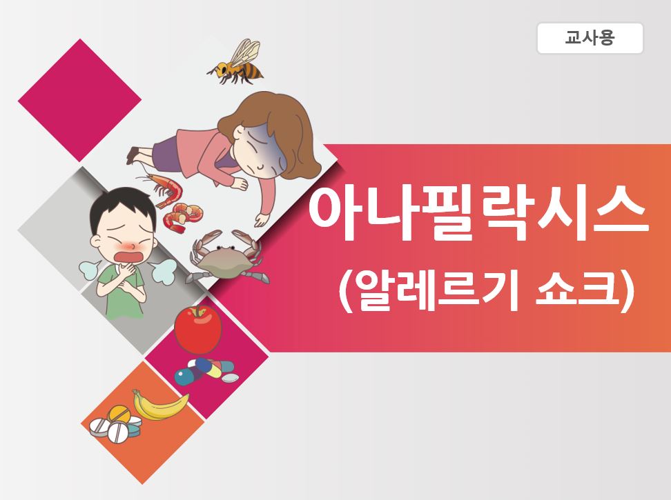 갤러리